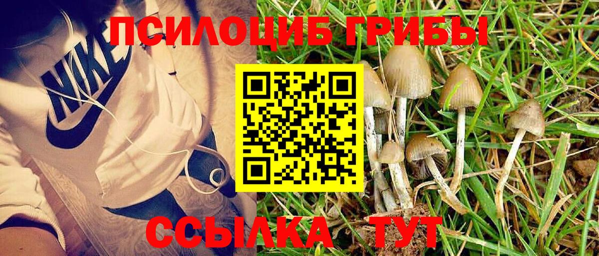 Галлюциногенные грибы прущие грибы  Вход с VPN  Гулькевичи 