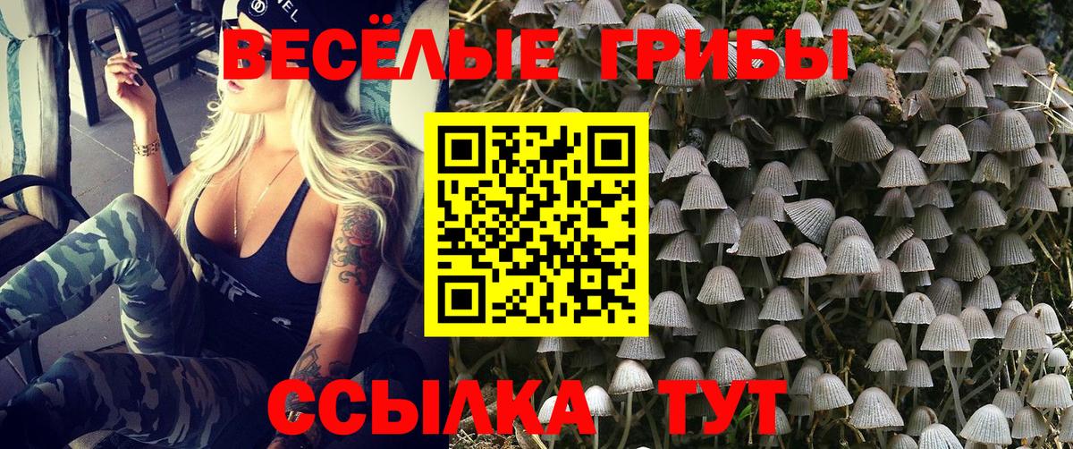 Псилоцибиновые грибы мицелий Гулькевичи